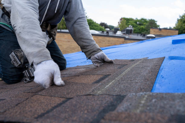 Best Metal Roofing Contractor  in Holt, MI