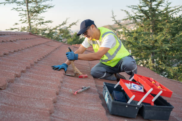 Best Roof Gutter Cleaning  in Holt, MI